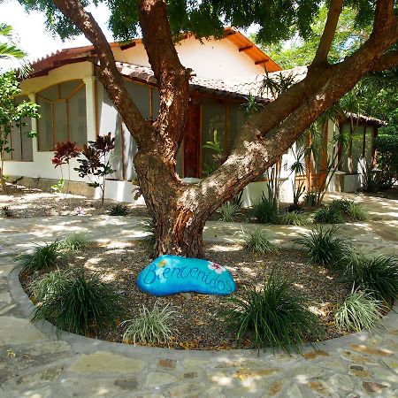 El Limón Surf Sanctuary酒店 外观 照片